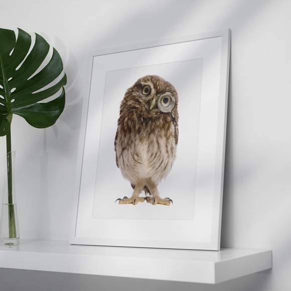 Owl Portrait Wall Art Print Poster Unframed - Picture 5 of 9